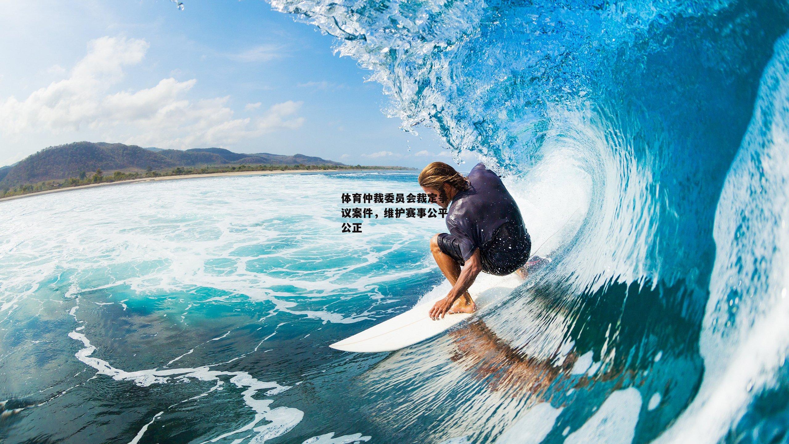 体育仲裁委员会裁定争议案件,维护赛事公平公正