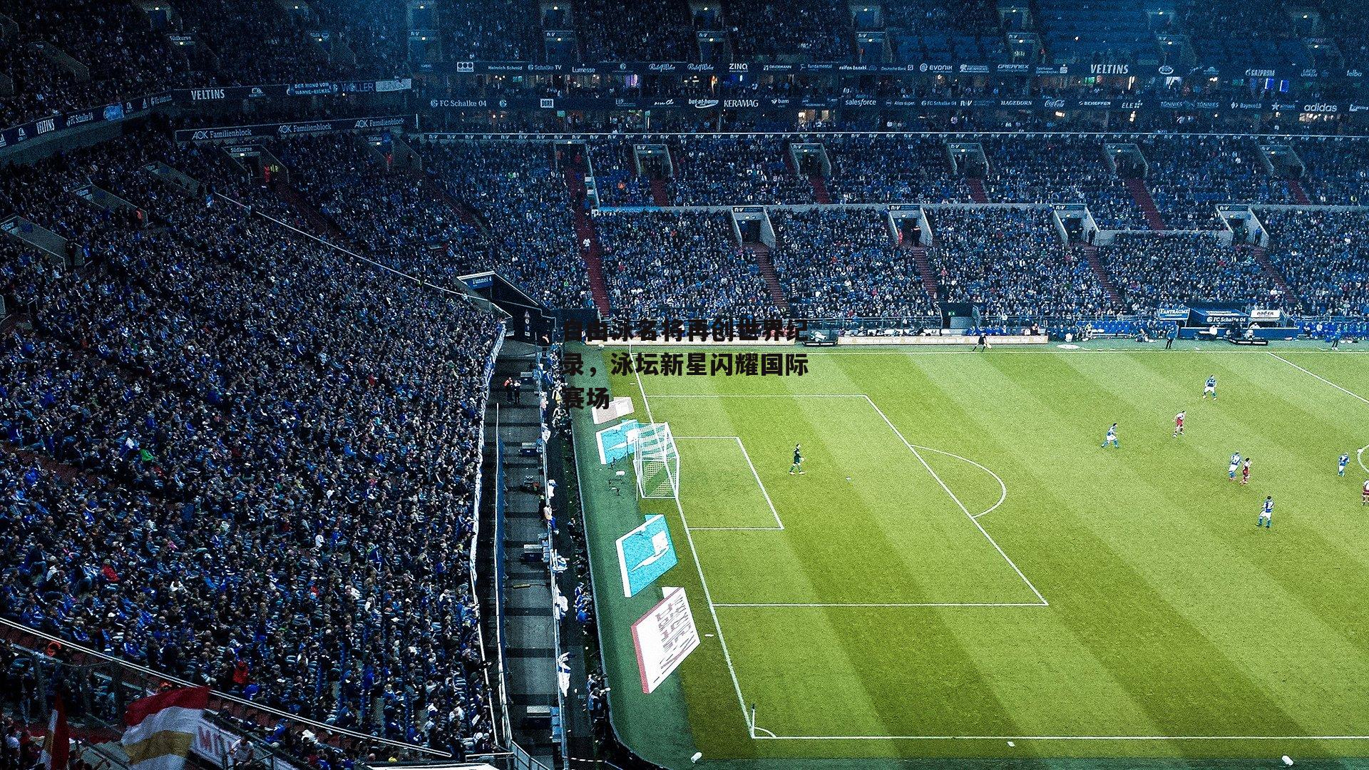 自由泳名将再创世界纪录，泳坛新星闪耀国际赛场