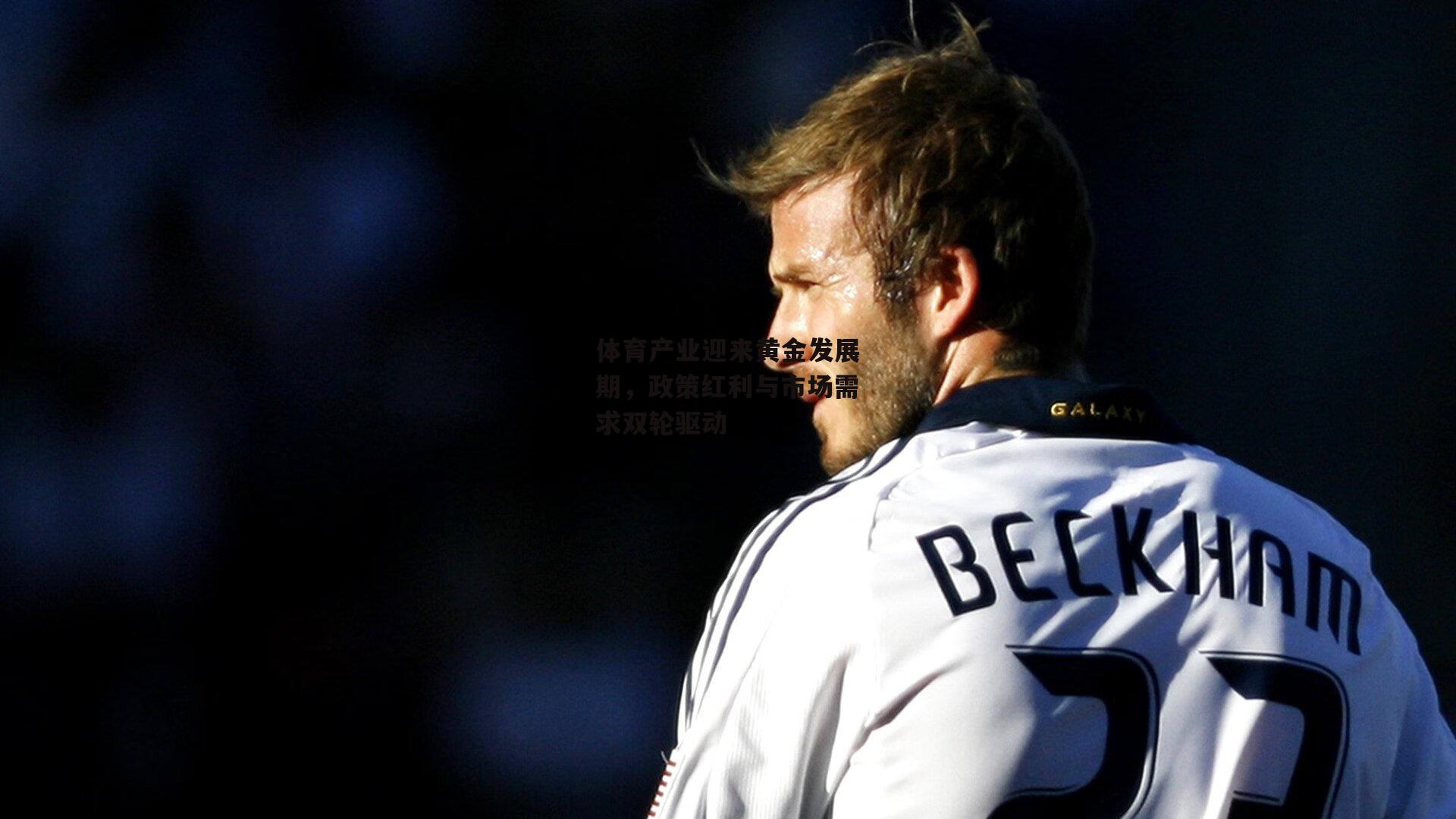 体育产业迎来黄金发展期，政策红利与市场需求双轮驱动