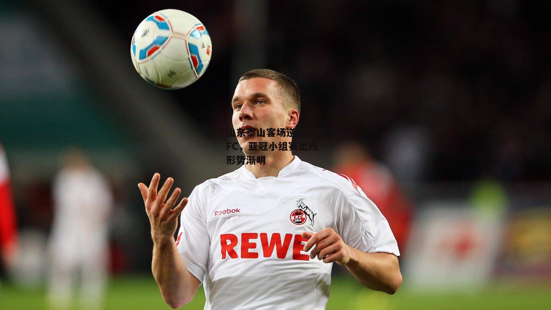 山东泰山客场逆转悉尼FC，亚冠小组赛出线形势渐明